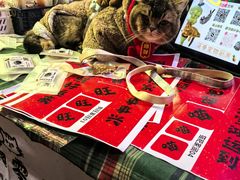 -满天星太珍火锅