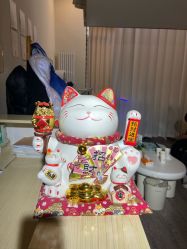 -美肌工坊皮肤管理