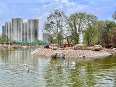 -青藏高原野生动物园
