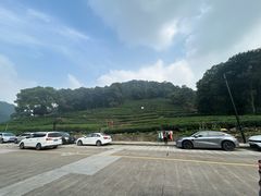 -香芙茗茶楼(梅家坞总店)