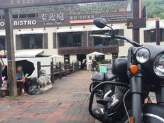 -Local泰莲庭(虹鳟鱼店)