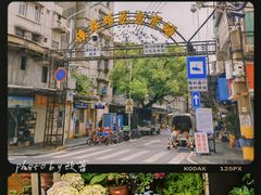 -溪岸路花鸟市场