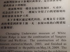 -白鹤梁水下博物馆