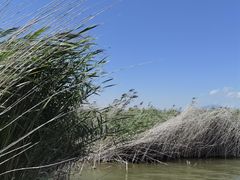 -野鸭湖国家湿地公园