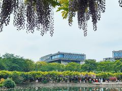 -嘉定紫藤园