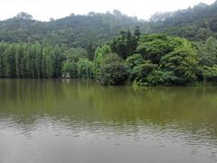 -滴水岩森林公园