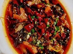 毛血旺-金悦印象小馆(三里河店)