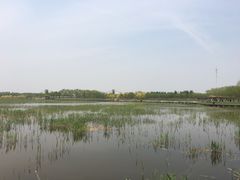 -西青郊野公园