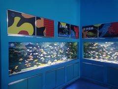 -沙沙哗啦海洋馆(华宇百花谷店)