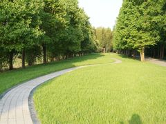 -同里国家湿地公园