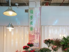 -双季花艺园艺市场(浦东店)