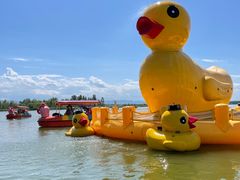 -野鸭湖国家湿地公园