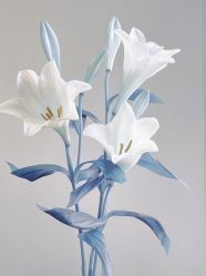 -Oasis Beauty水磨坊科技美肤中心