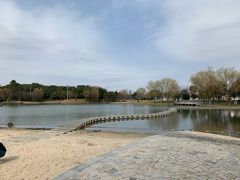 -上海佘山世茂艾美酒店
