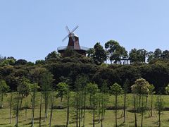 -东莞植物园