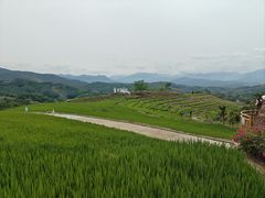 -牙胡梯田