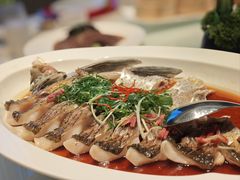 -湖锦酒楼·旗舰店(三阳总店)