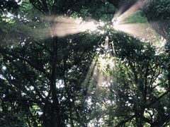 -普陀山雷迪森庄园