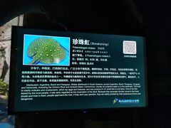 -泉城欧乐堡海洋极地世界