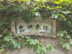 -无锡蠡湖国家湿地公园-蠡园