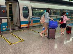 -龙阳路磁悬浮列车总站-停车场