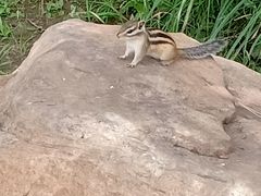 -长春公园(普阳街道)