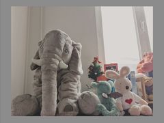 -宜家家居(哈尔滨商场店)