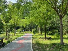 -莲花池公园