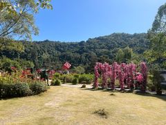 -东莞观音山旅游风景区