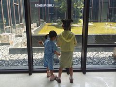 -上海崇明金茂凯悦酒店