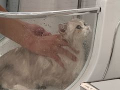 -comecome来吧宠物(奥克斯中心店)