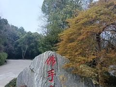 -庐山风景名胜区-东林大佛