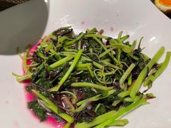 -黛瓦里·花园飨宴