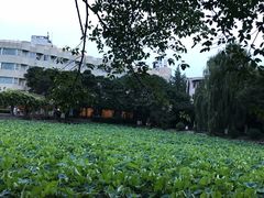 -西南交通大学(九里校区)