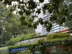 -成都市活水公园