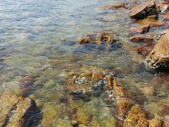 海水近拍-东澳岛