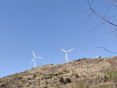 -东白山