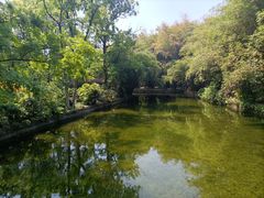 -棠湖公园