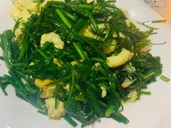 -煲来饱去冷水鱼