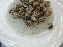 海螺-御花园·粤菜·海鲜火锅(中山公园店)