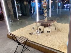 -T28PARK公园里