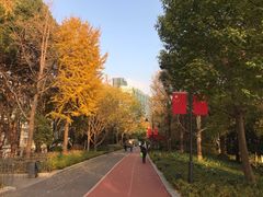 -北外滩滨江绿地