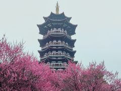 -洋湖国家湿地公园