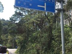 -梧桐山风景名胜区