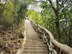 -梧桐山风景名胜区