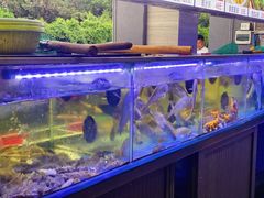 -金海湾海鲜排档(朱家尖店)
