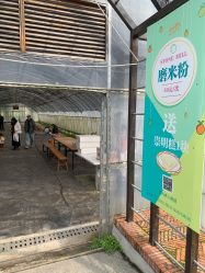 -前小桔亲子创意农场·草莓采摘·露营烧烤