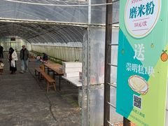 -前小桔亲子创意农场·草莓采摘·露营烧烤