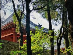-四门塔风景区