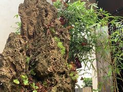 -月栖华明-云间草堂清茶馆(泗泾古镇店)